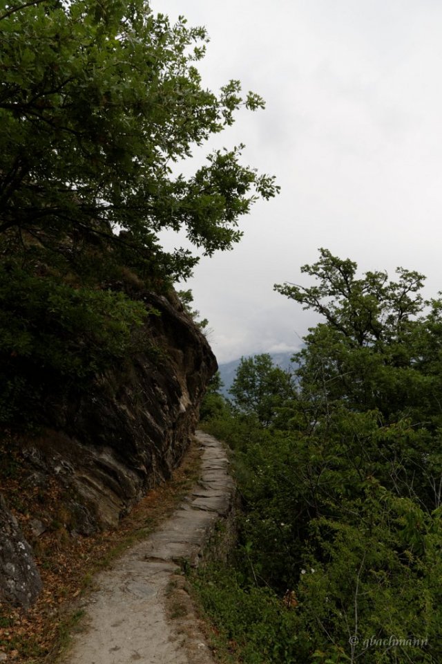 20140526_047